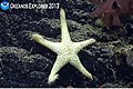 Thumbnail for version as of 14:07, 23 September 2014
