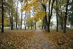 A park