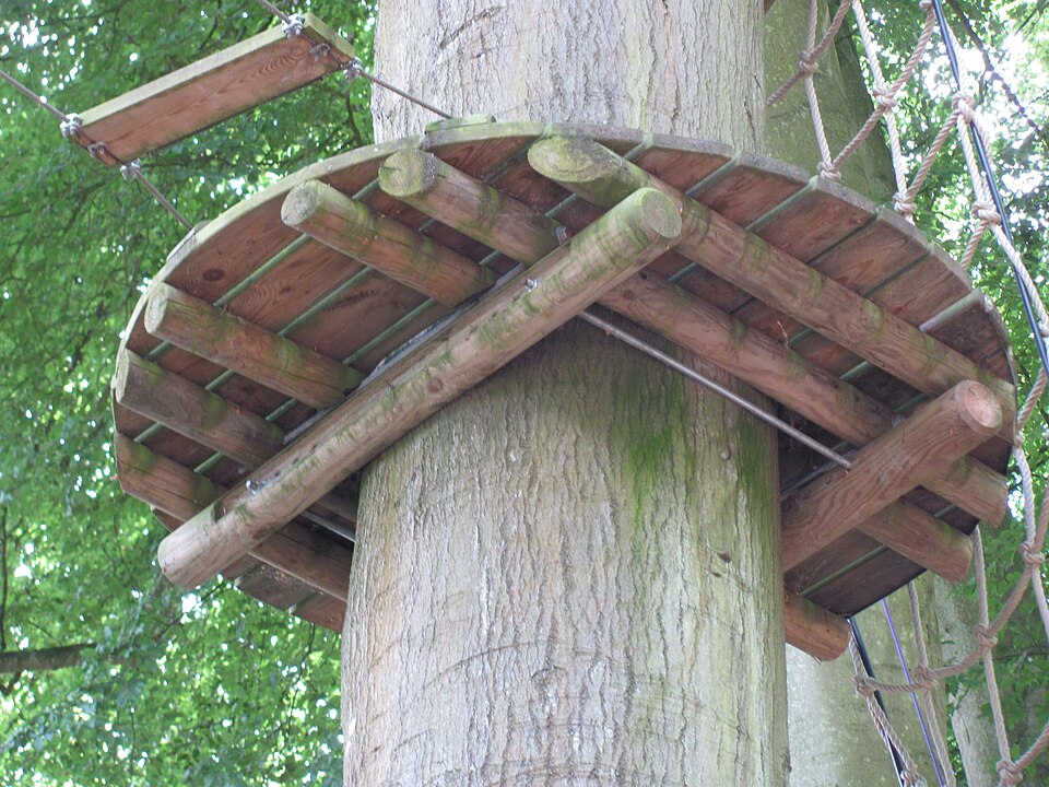 File:Non invasive method of fixing a tree platform.JPG