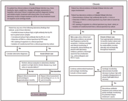 Q fever management algorithm.gif