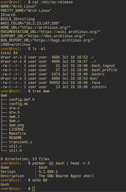 Datei:Example bash session.png