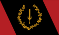 Black American Heritage Flag