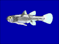 Thumbnail for version as of 22:08, 2 June 2005