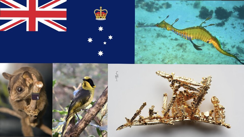 File:Victoria symbols.jpeg