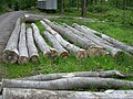 Buchen-Rundholz